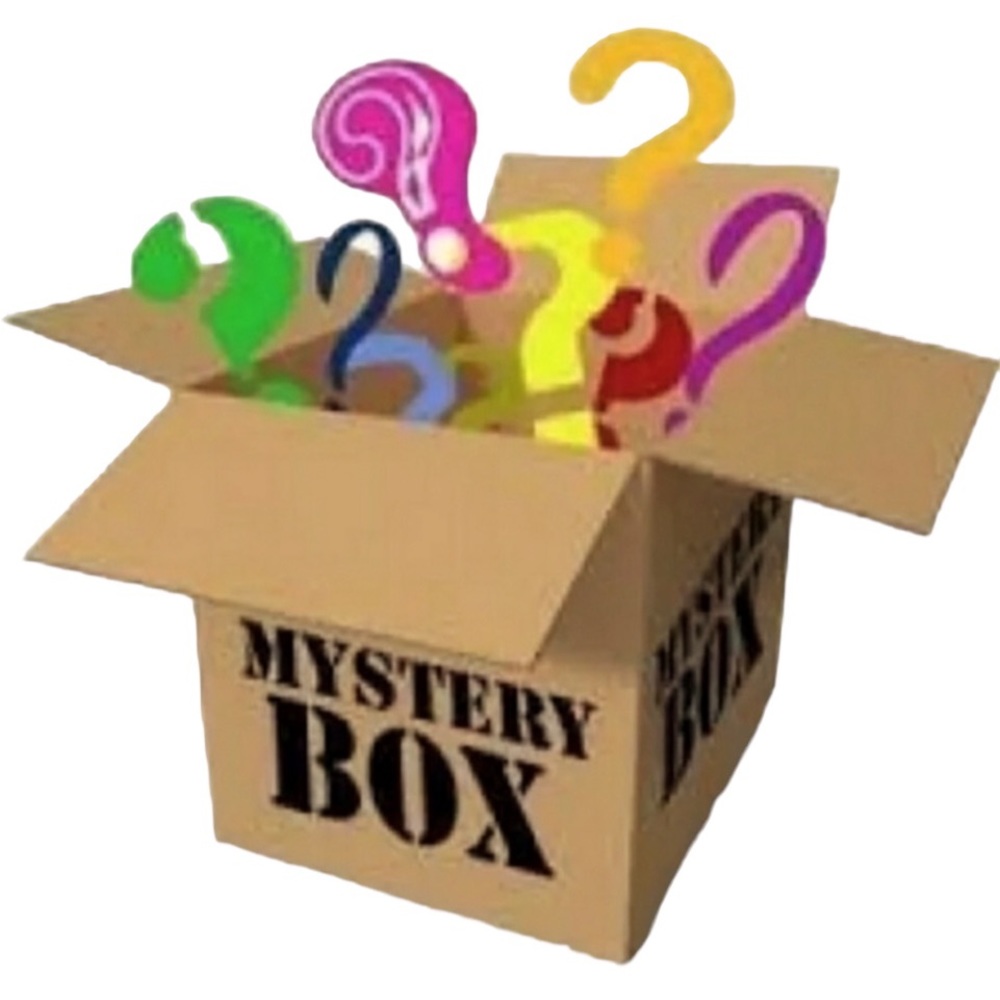Mystery Box 16 Pieces Various Brands Women’s Tops Size Medium